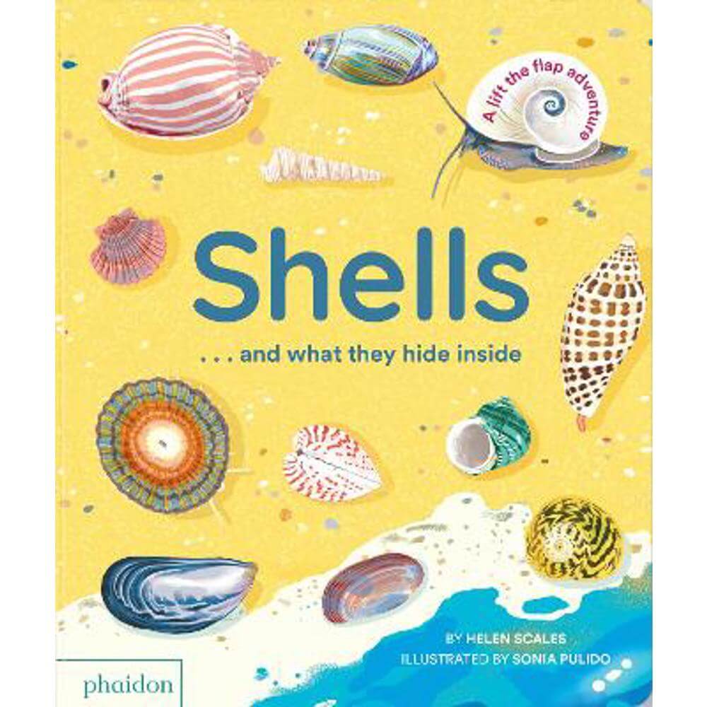 Shells... and what they hide inside: A Lift-the-Flap Adventure - Helen Scales